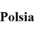 Polsia Reviews