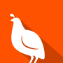Quail Reviews & Ratings