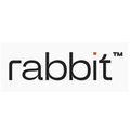 rabbit r1