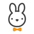 Rabbit Resume