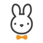 Rabbit Resume Reviews