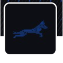 Rackdog Reviews