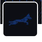 Rackdog Reviews