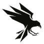 Raven Reviews