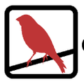 Red Canary