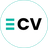 Excellent CV Reviews