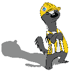 Safety Badger Reviews