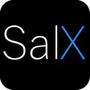 Logo Project SalX