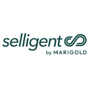 Selligent Icon