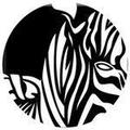 Zebrafi