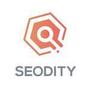 Seodity Icon