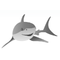 SHARK Reviews