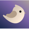 Shorebird Reviews