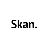 Skan