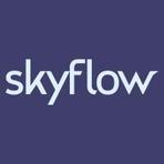 Skyflow Reviews