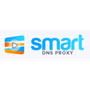 Smart DNS Proxy