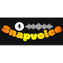 SnapVoice Reviews