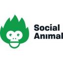 Social Animal Reviews