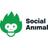 Social Animal Reviews