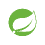 Spring Boot Icon