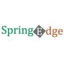 Spring Edge Reviews
