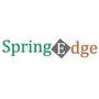 Spring Edge Reviews