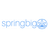 springbig