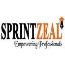 Sprintzeal Reviews