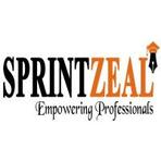 Sprintzeal Reviews