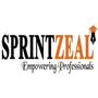 Sprintzeal Reviews