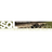 SQL Workbench