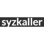 syzkaller Reviews