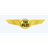 Tax Pilot Reviews