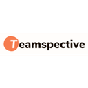 Teamspective Reviews