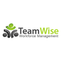 TeamWise