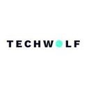 TechWolf Reviews