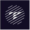 Theia Insights