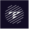 Theia Insights Reviews