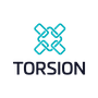 Torsion