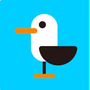 TransGull Reviews