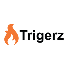 Trigerz (Тригерз) (Программное Обеспечение Для Управления Доходами)