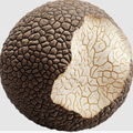 Truffle