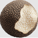Truffle Reviews