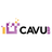 CAVU ERP Reviews