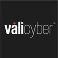 Vali Cyber