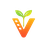VidSeeds.ai Reviews