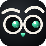 Visual Sentinel Reviews
