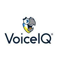 Voiceiq (Голосовой Iq) - Программное Обеспечение Для Анализа Разговоров