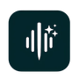 VoiceToNotes Reviews