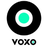 Voxo Reviews